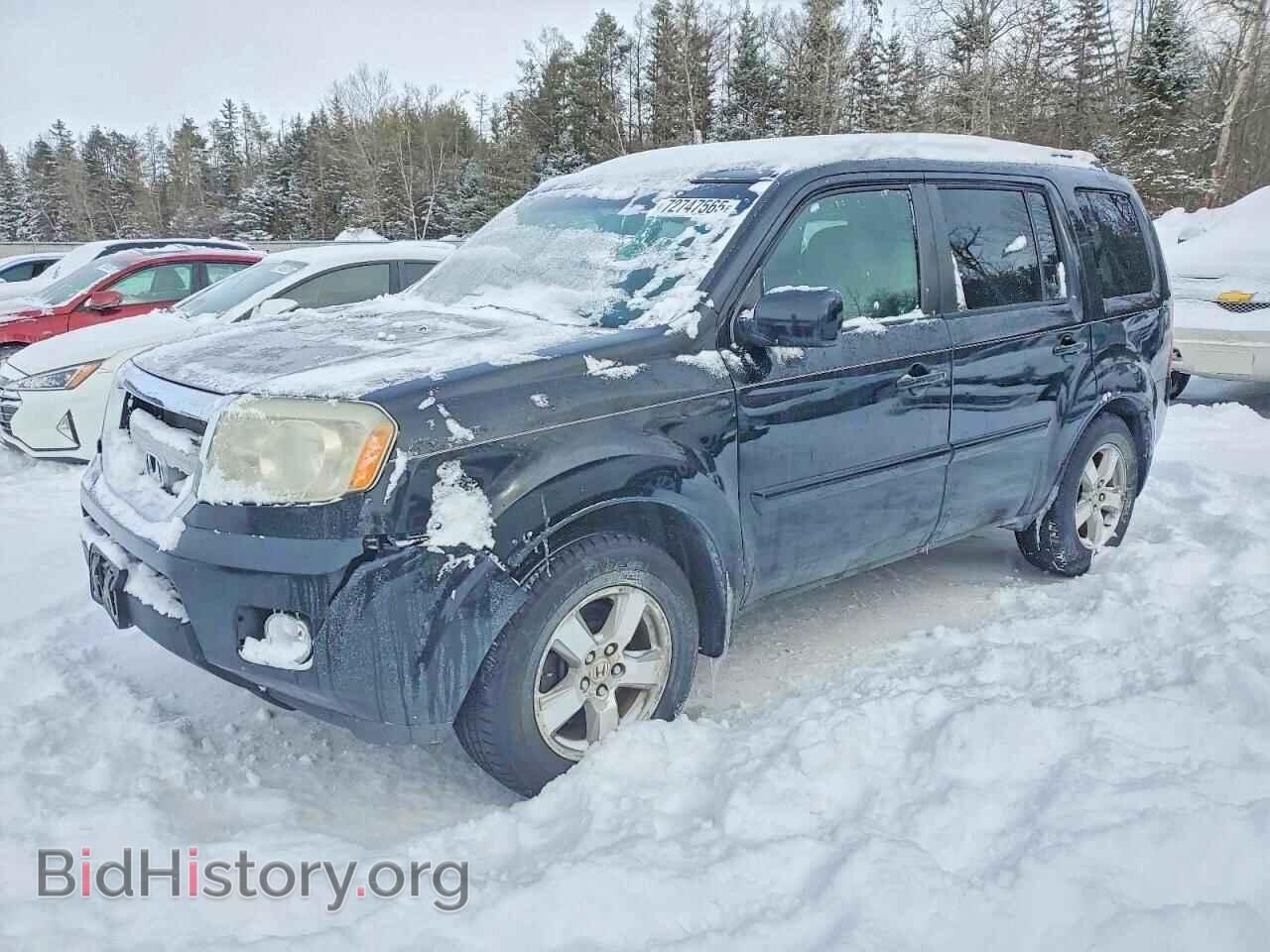2009 HONDA PILOT - VIN: 5FNYF38559B007530 - Фото 1