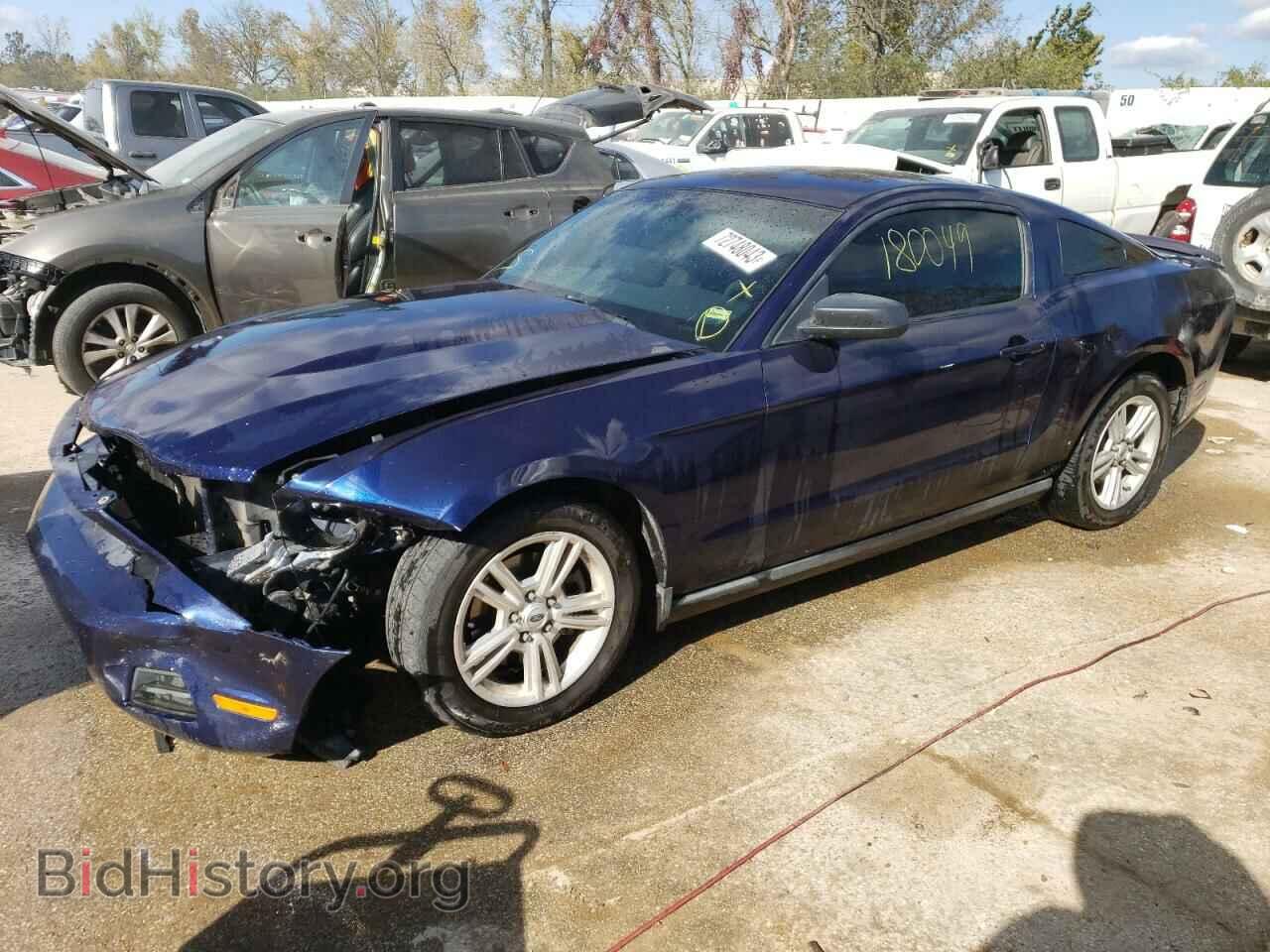 Photo 1ZVBP8AM6C5281858 - FORD ALL Models 2012