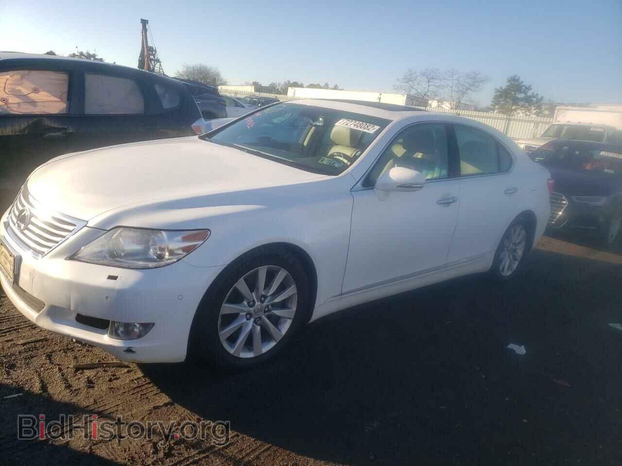 Photo JTHCL5EF1B5010894 - LEXUS LS460 2011
