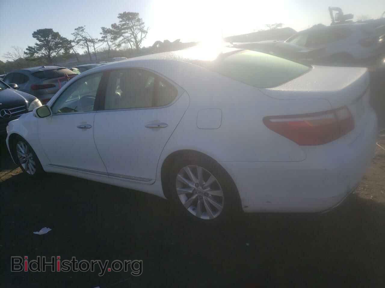 2011 LEXUS LS460 - VIN: JTHCL5EF1B5010894 - Photo 2