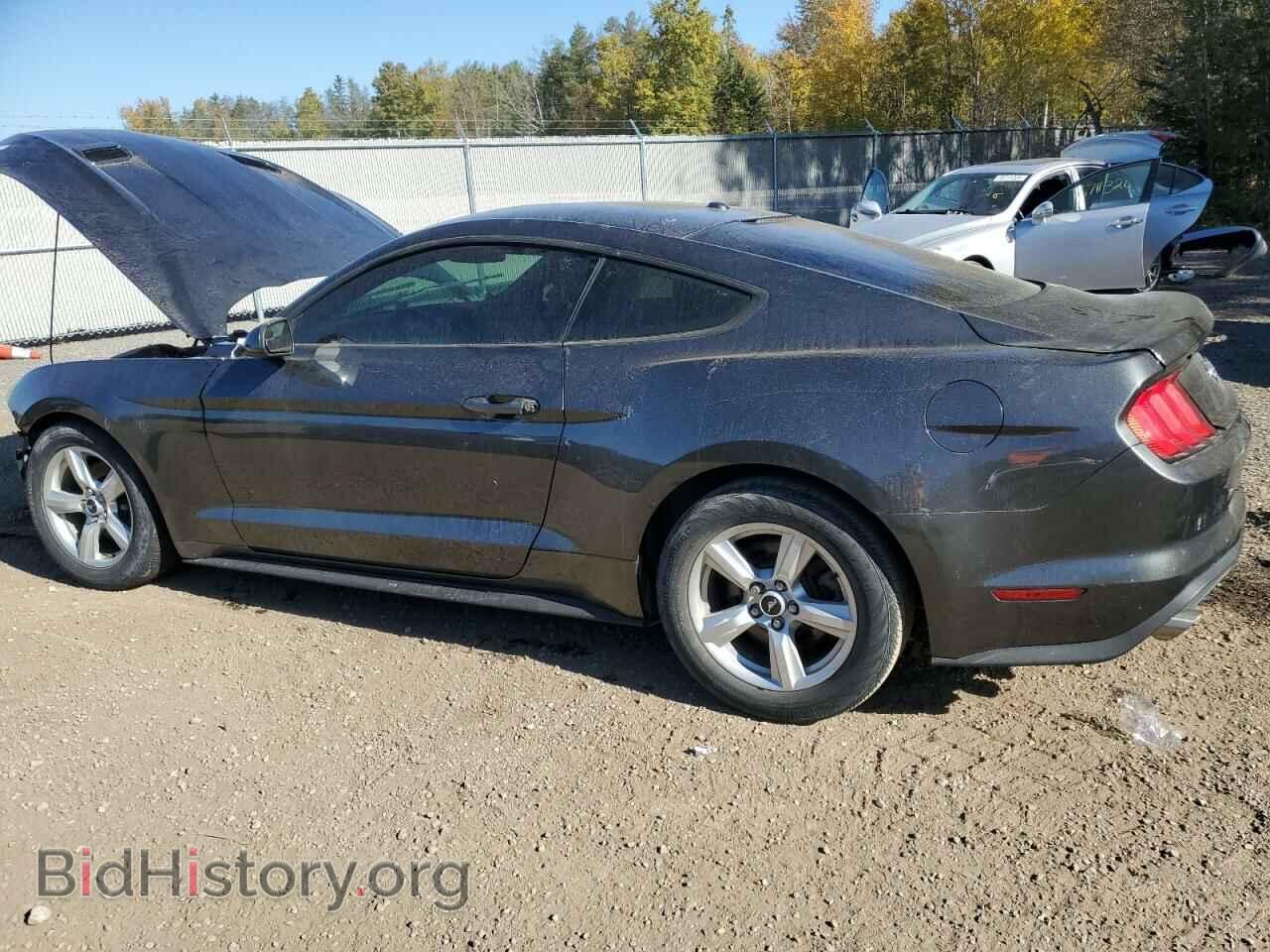 2019 FORD ALL Models - VIN: 1FA6P8THXK5102956 - Фото 2