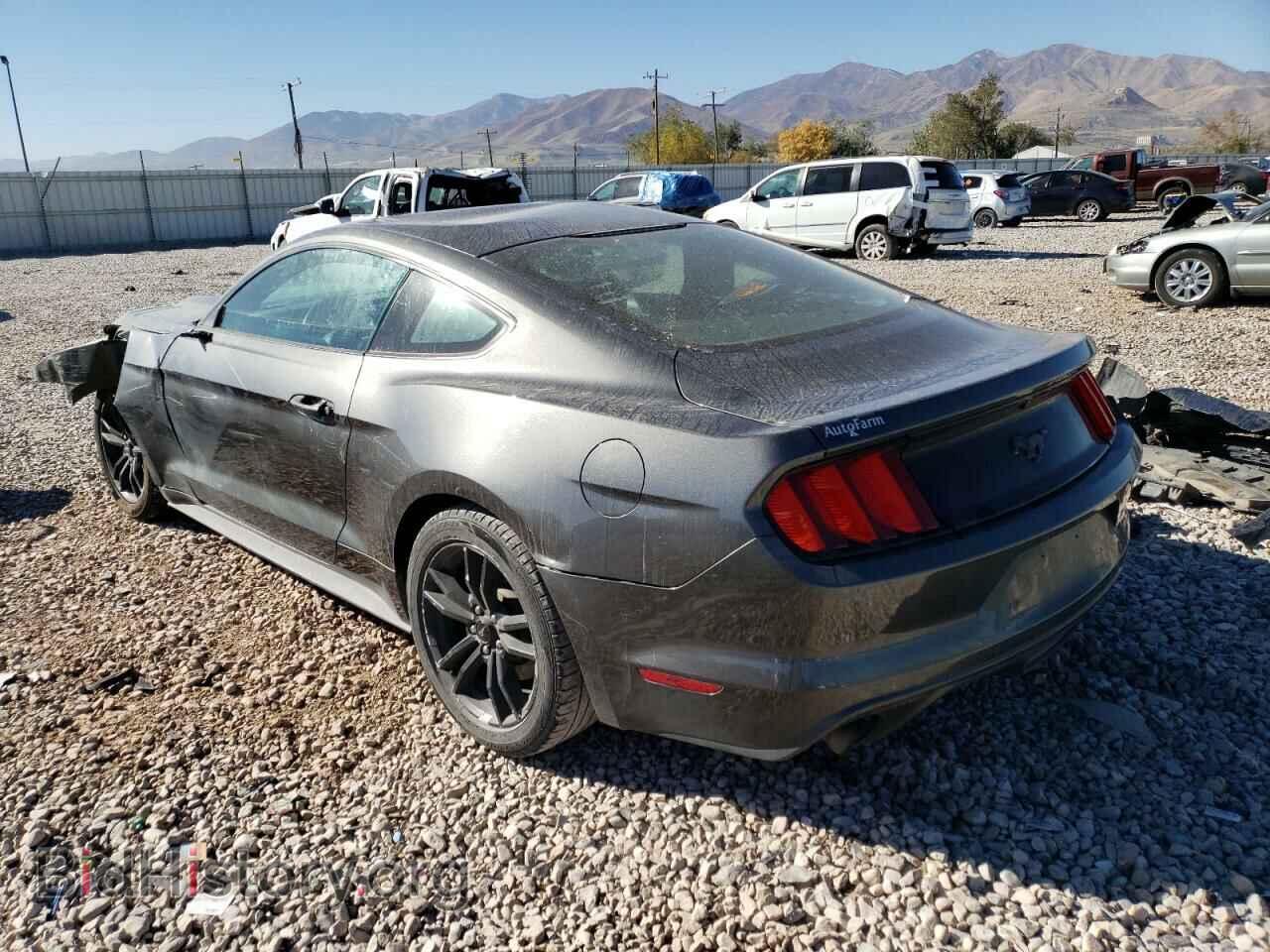 2017 FORD ALL Models - VIN: 1FA6P8TH1H5316923 - Фото 2