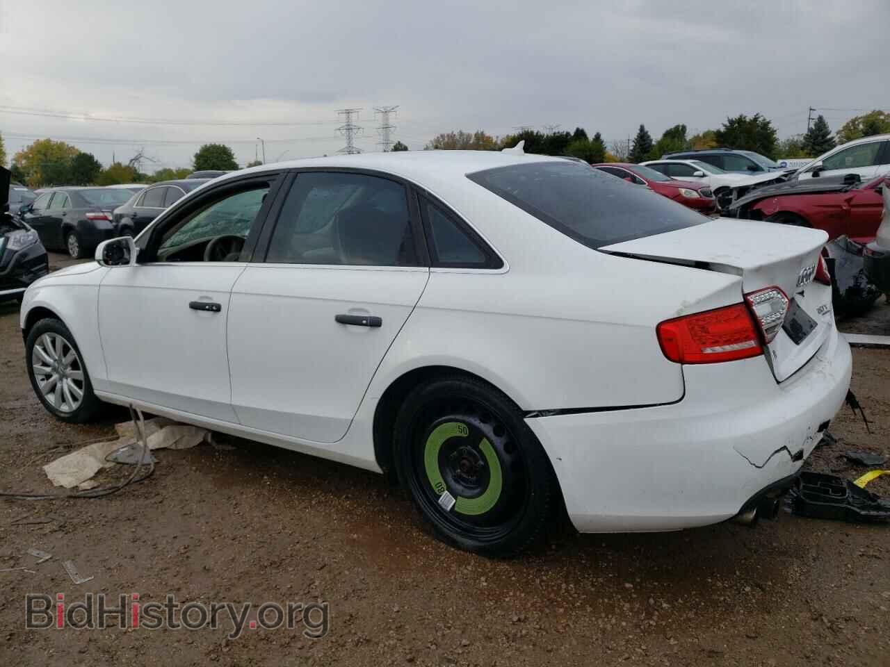 2010 AUDI A4 - VIN: WAUFFAFL0AN020914 - Фото 2