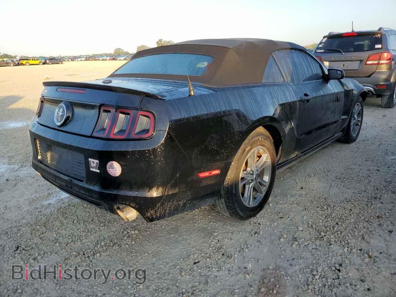 2013 FORD MUSTANG - VIN: 1ZVBP8EM4D5242259 - Фото 3
