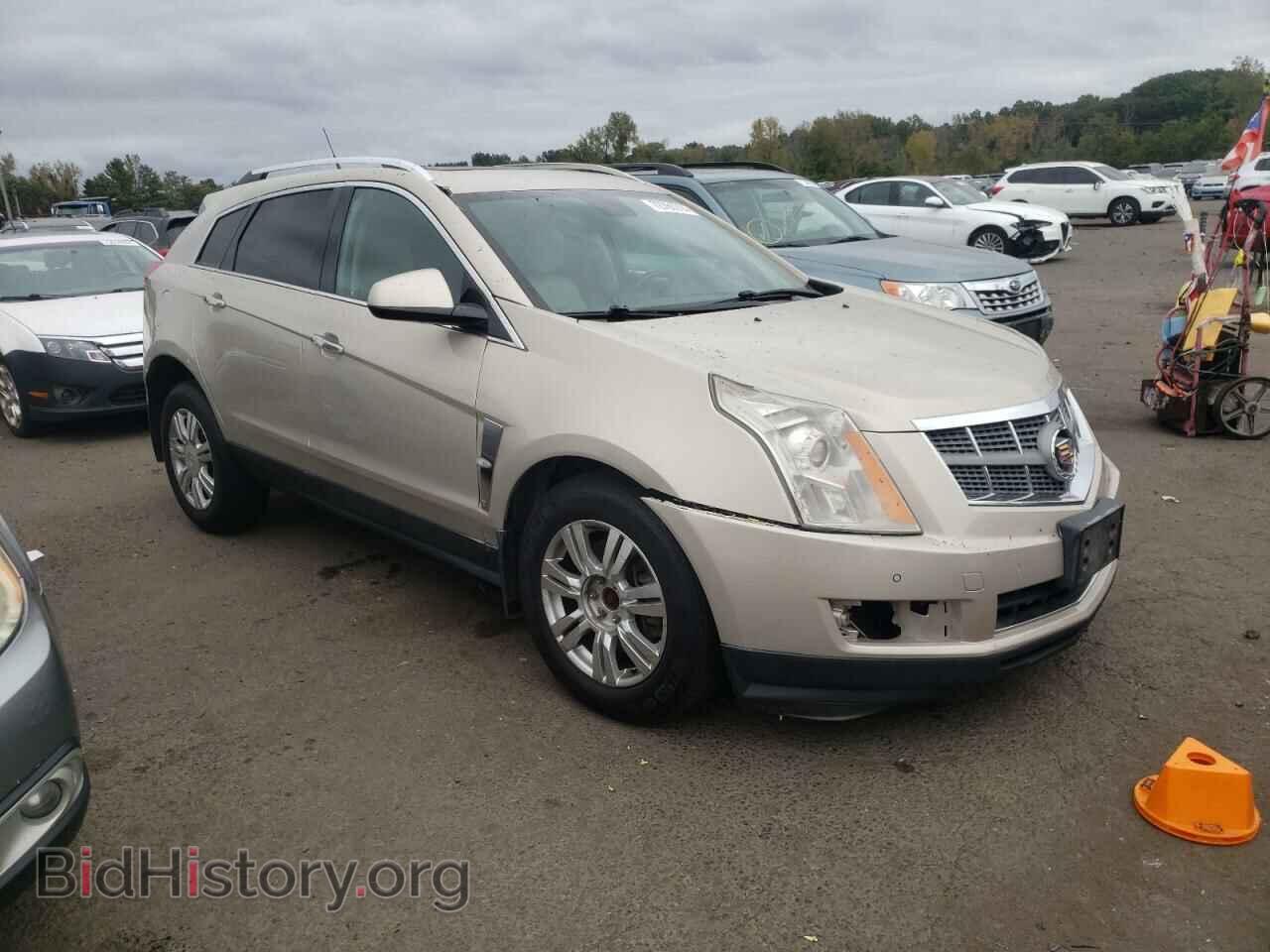 2011 CADILLAC SRX - VIN: 3GYFNDEY0BS540438 - Фото 4