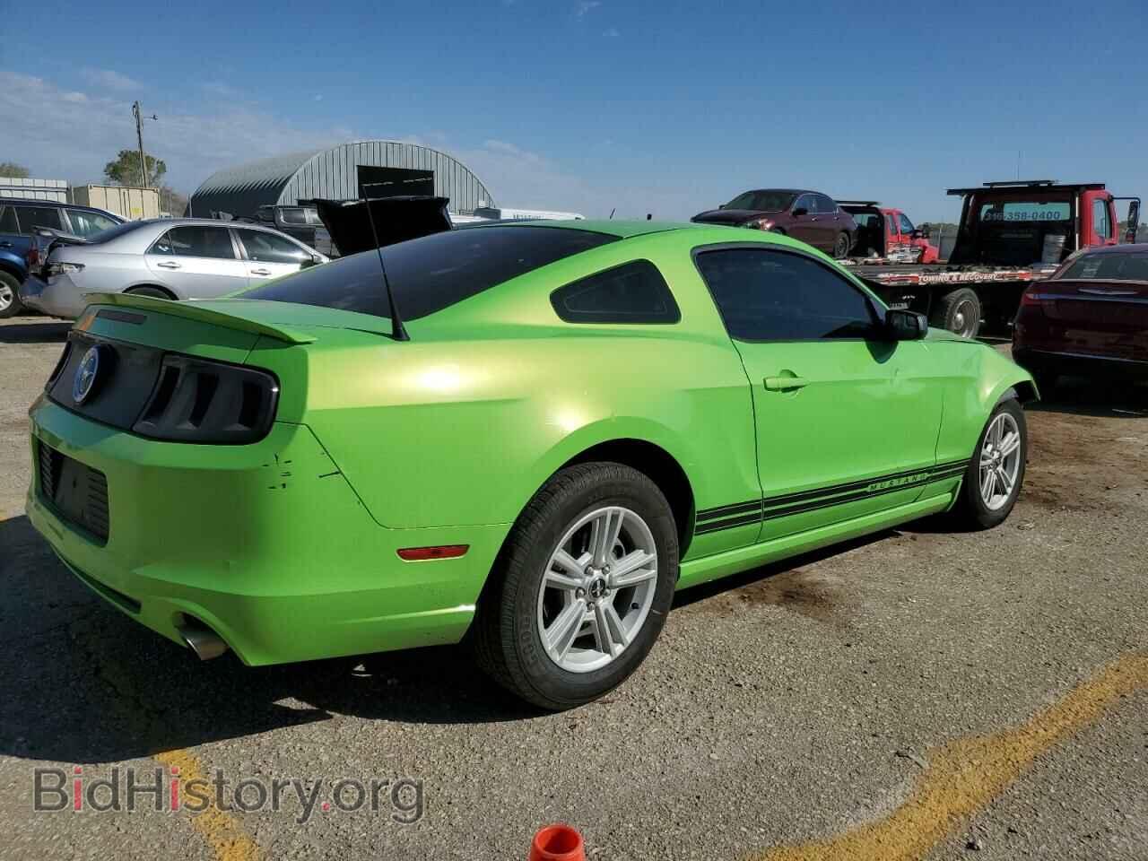 2013 FORD ALL Models - VIN: 1ZVBP8AM6D5269503 - Фото 3
