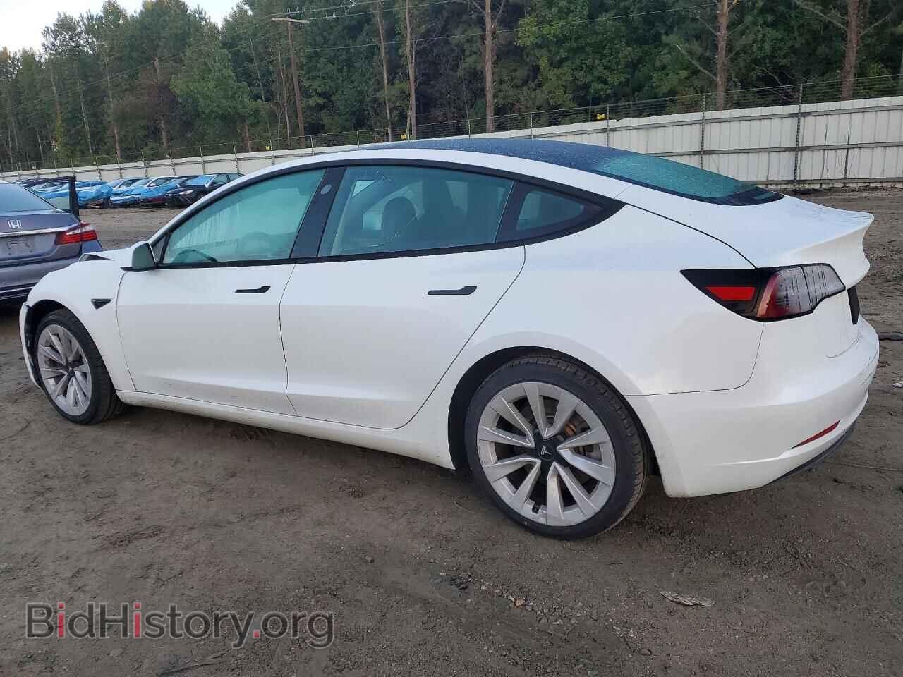 2023 TESLA MODEL 3 - VIN: 5YJ3E1EA9PF447492 - Photo 2