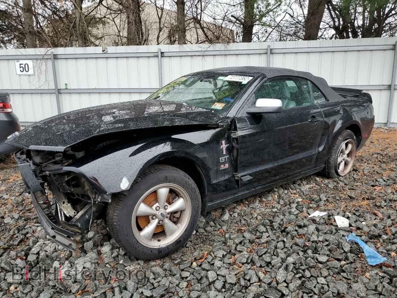 Photo 1ZVFT85H765260919 - FORD MUSTANG 2006