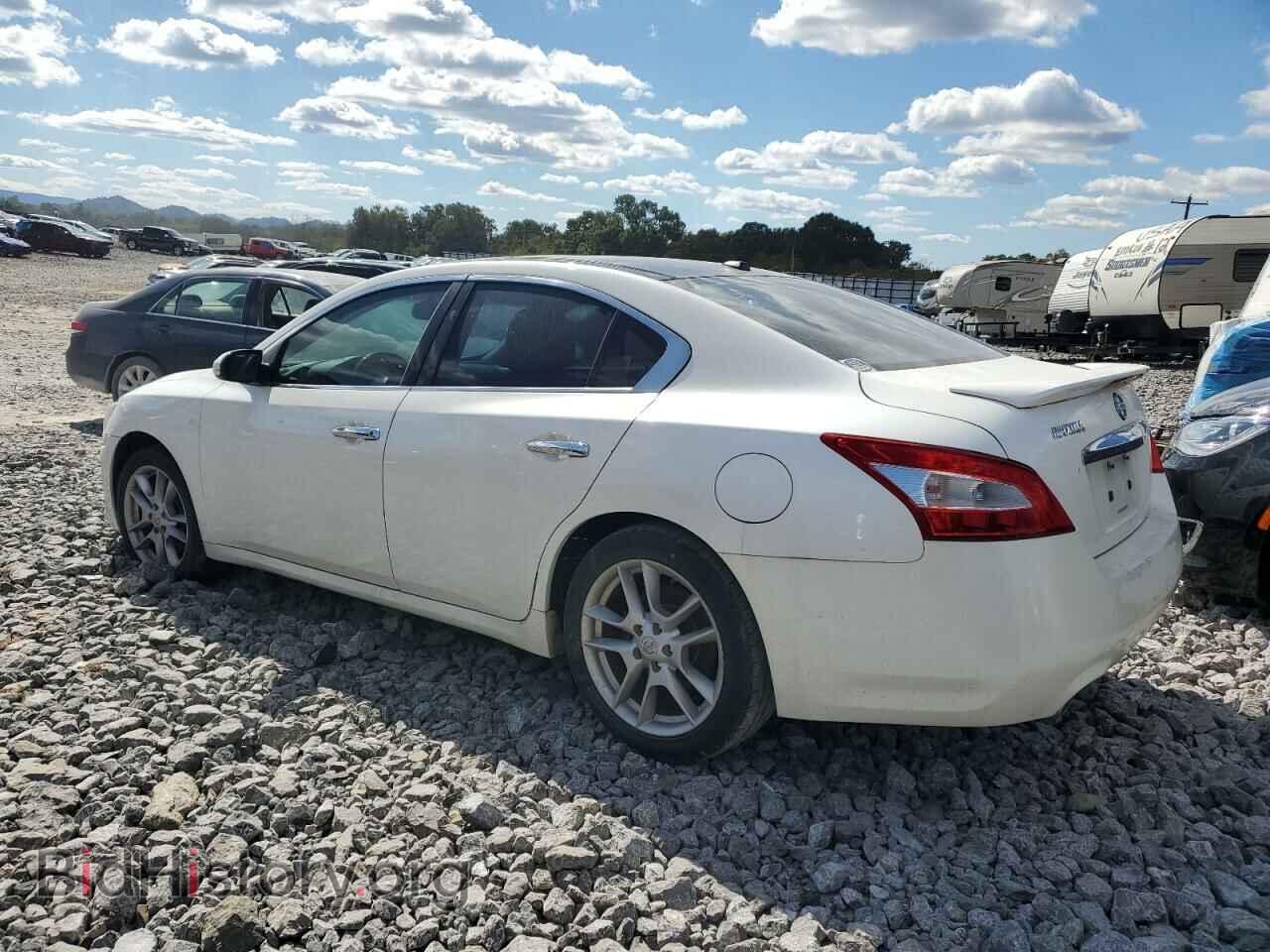 2011 NISSAN MAXIMA - VIN: 1N4AA5AP1BC804924 - Фото 2