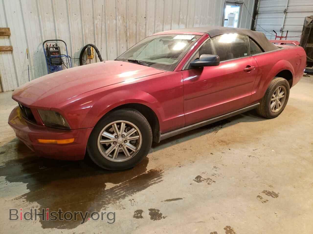 Photo 1ZVFT84N675279096 - FORD MUSTANG 2007
