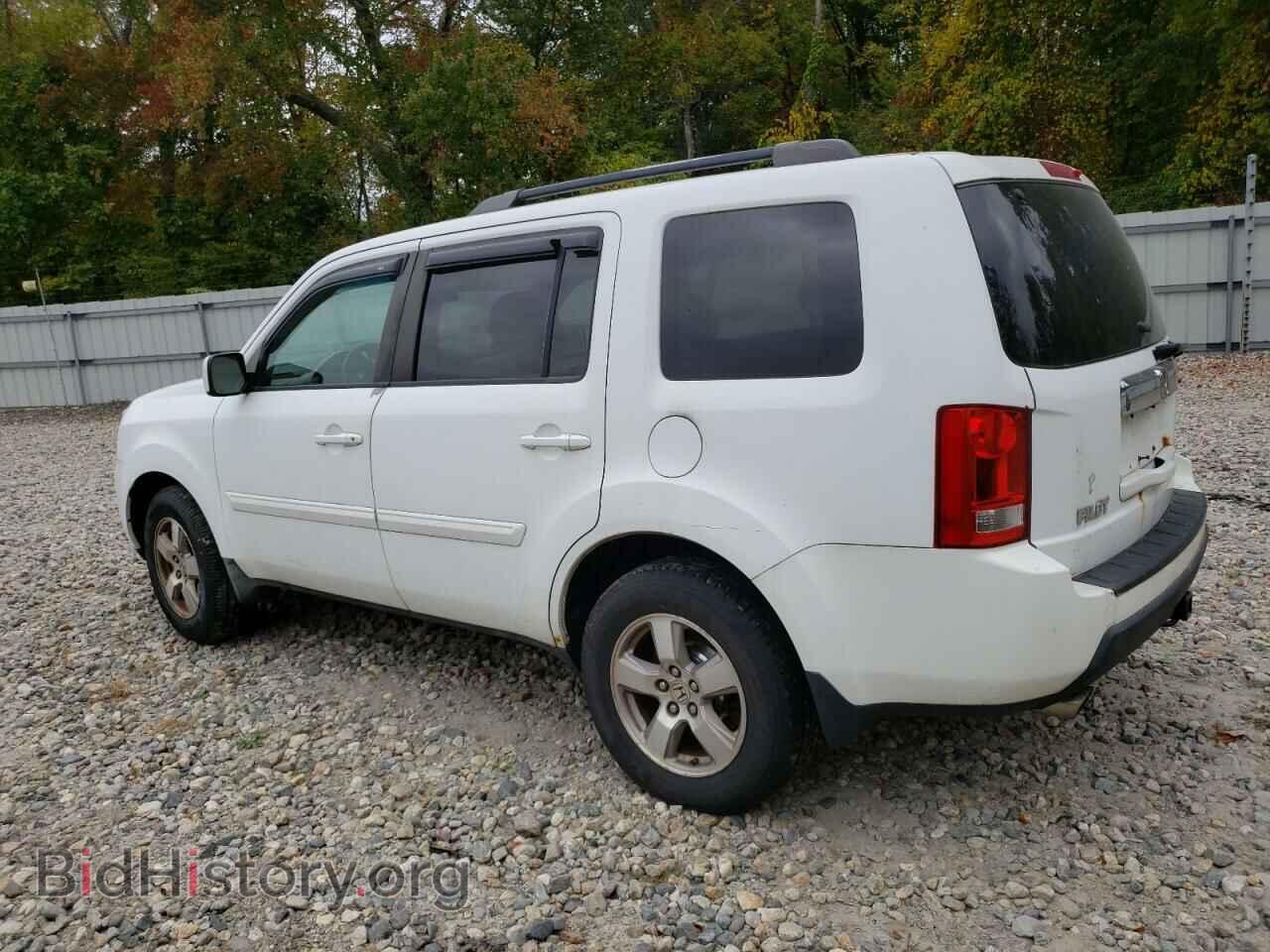2009 HONDA PILOT - VIN: 5FNYF48569B025606 - Фото 2