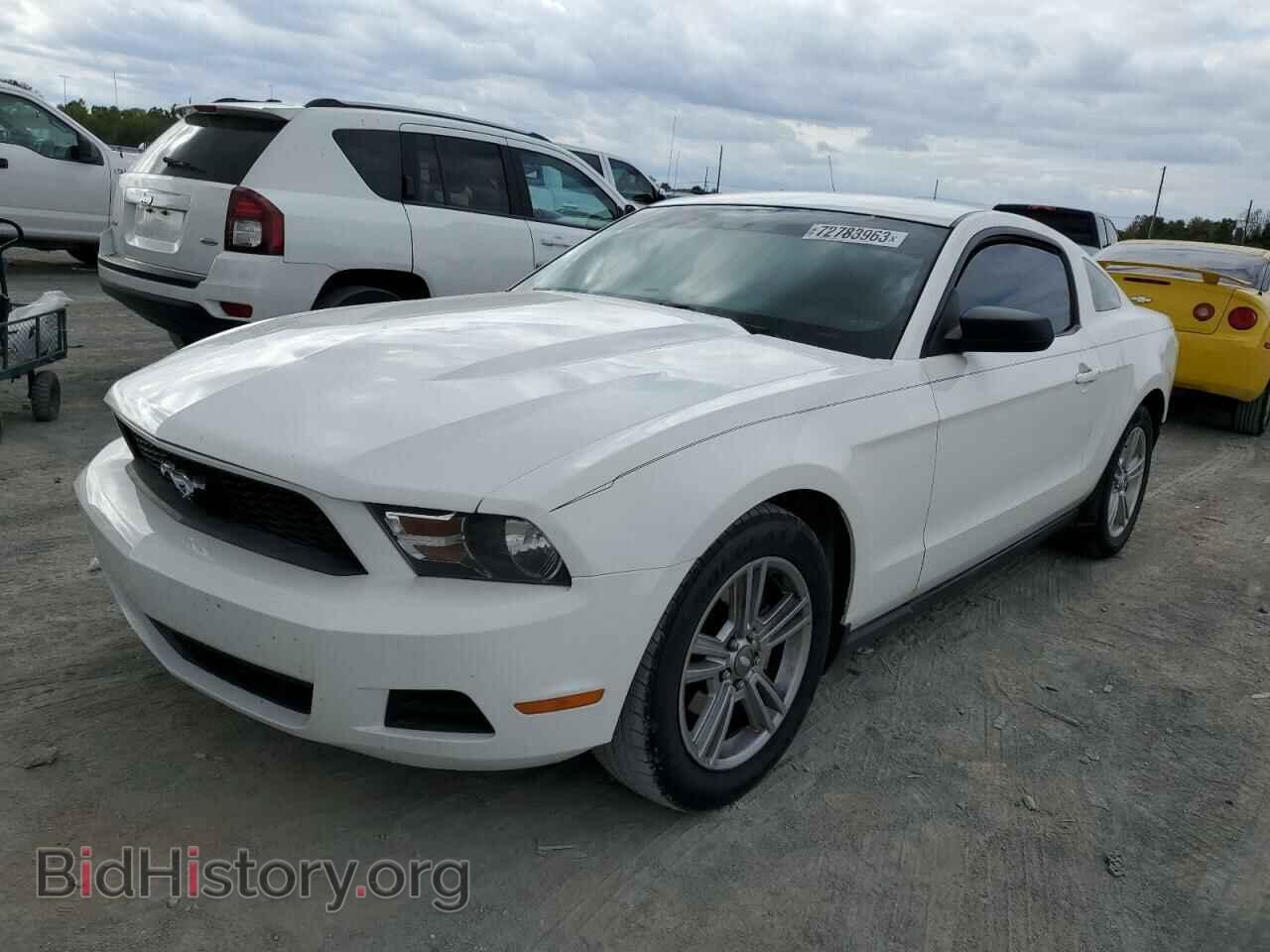Photo 1ZVBP8AN9A5173045 - FORD ALL Models 2010