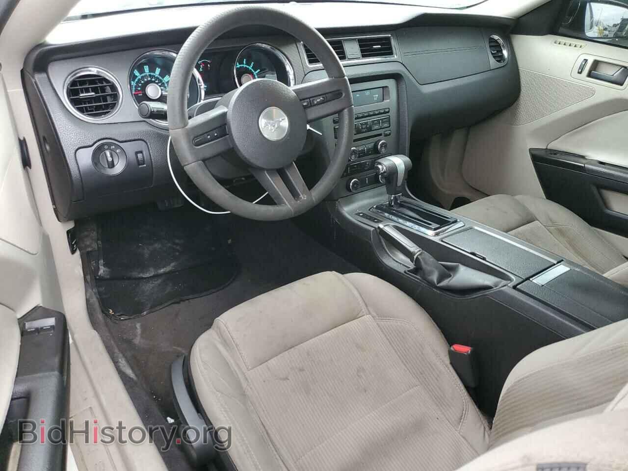 2010 FORD ALL Models - VIN: 1ZVBP8AN9A5173045 - Фото 8