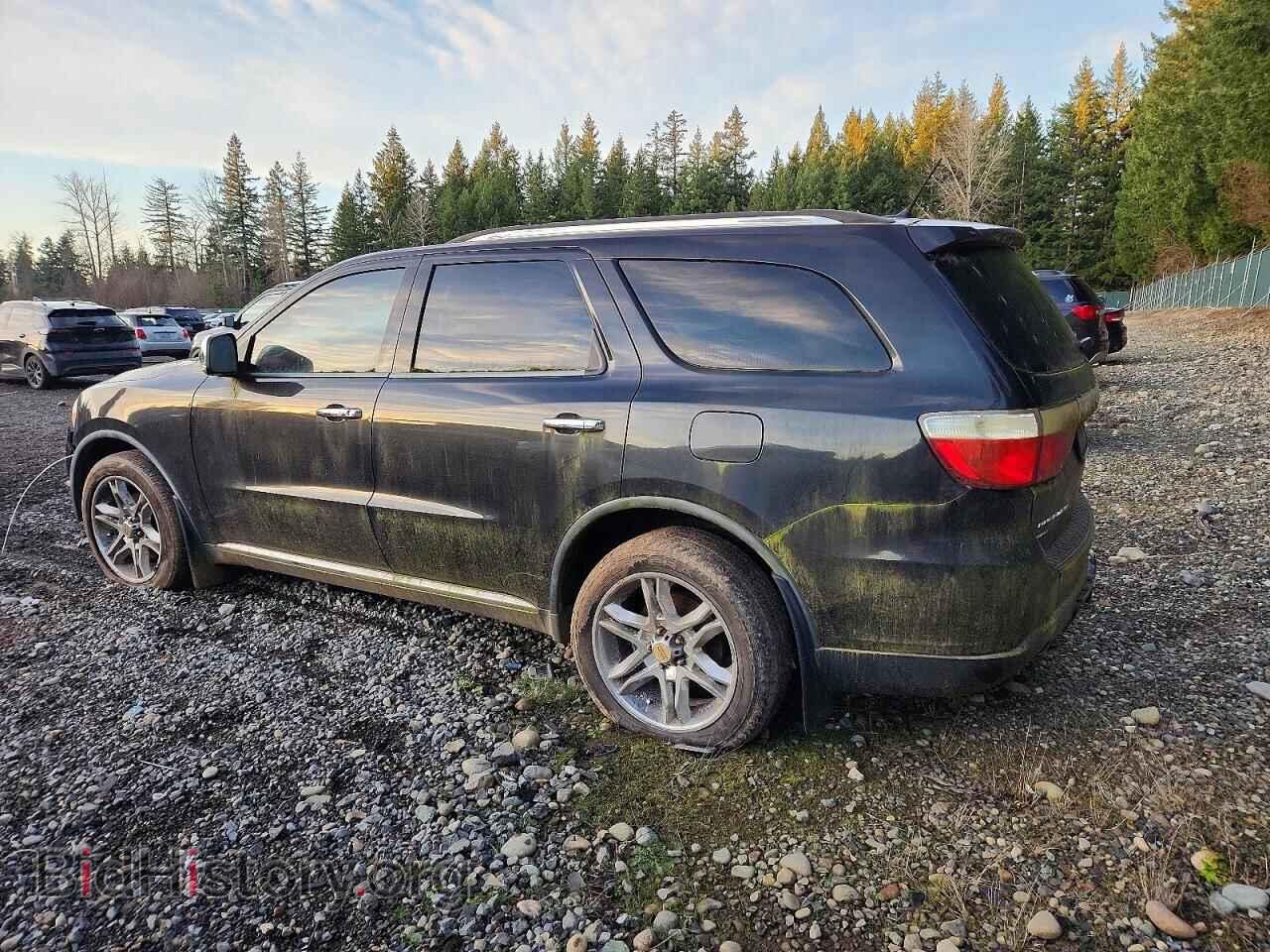 2011 DODGE DURANGO - VIN: 1D4SE4GT2BC693238 - Фото 2