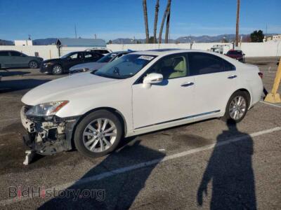 2010 Lexus ES350 350, white — VIN JTHBK1EG3A2347888, Copart