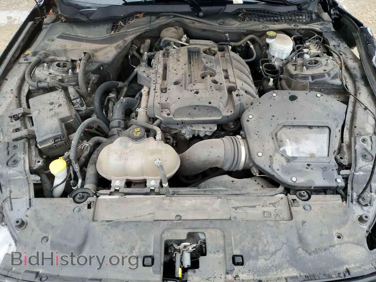 2019 FORD ALL Models - VIN: 1FA6P8TH8K5204241 - Фото 11