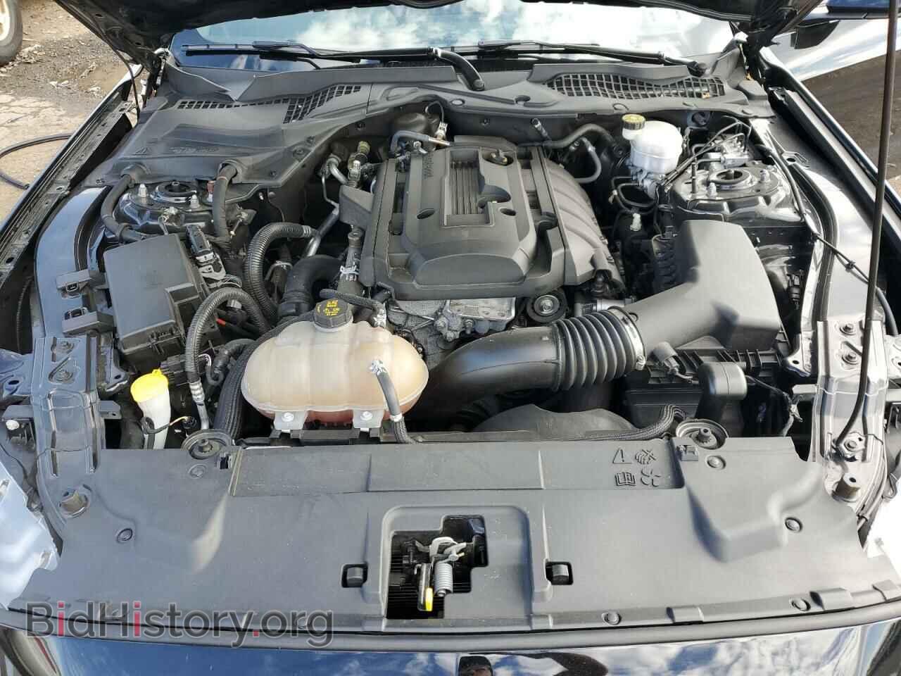 2019 FORD ALL Models - VIN: 1FA6P8TH9K5182458 - Фото 11