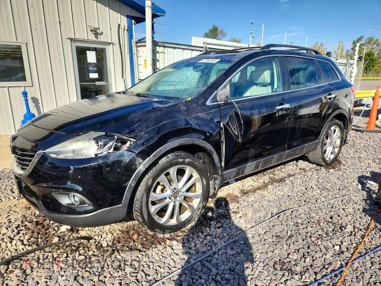 Photo JM3TB3DA8D0424907 - MAZDA CX-9 2013
