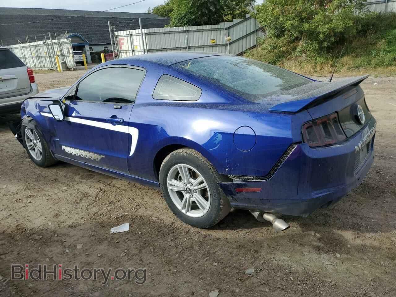 2013 FORD ALL Models - VIN: 1ZVBP8AM7D5247686 - Фото 2