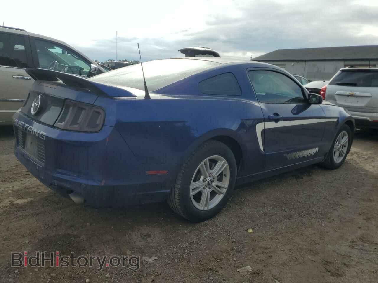 2013 FORD ALL Models - VIN: 1ZVBP8AM7D5247686 - Фото 3