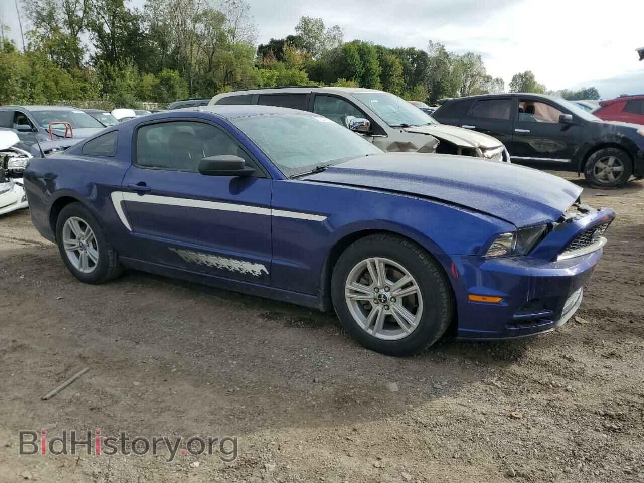 2013 FORD ALL Models - VIN: 1ZVBP8AM7D5247686 - Фото 4