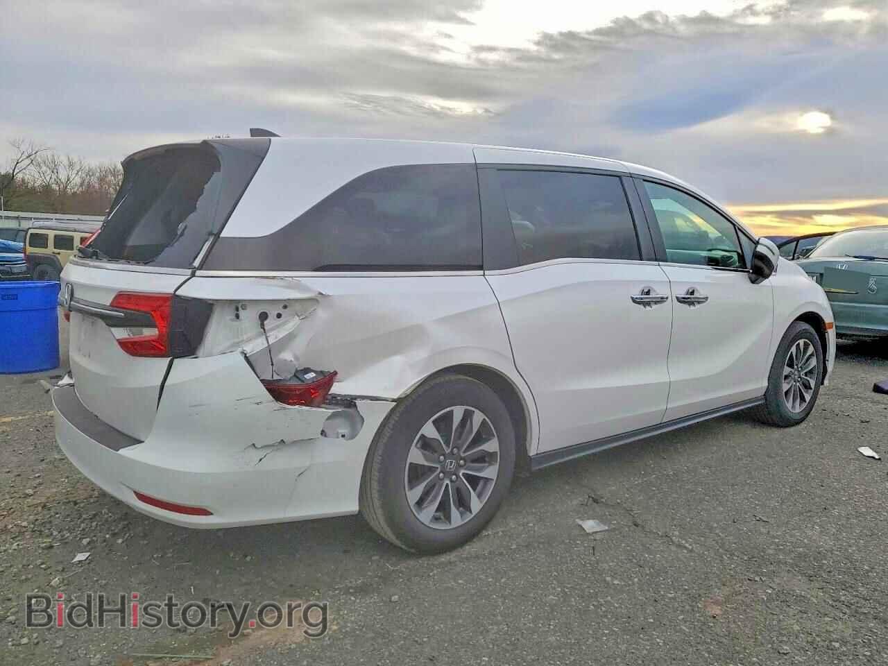 2024 HONDA All Models - VIN: 5FNRL6H65RB064446 - Фото 3
