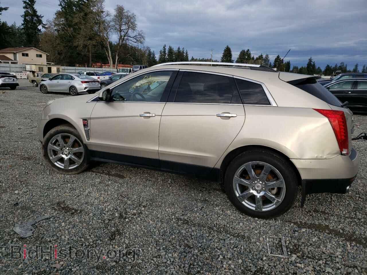 2010 CADILLAC SRX - VIN: 3GYFNFEY2AS652684 - Фото 2