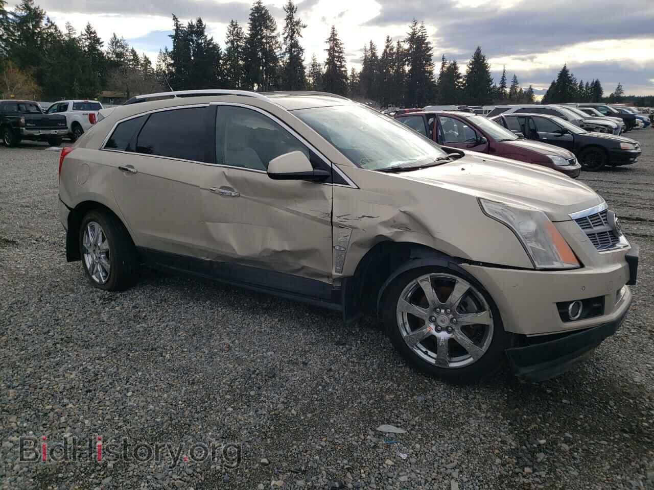 2010 CADILLAC SRX - VIN: 3GYFNFEY2AS652684 - Фото 4