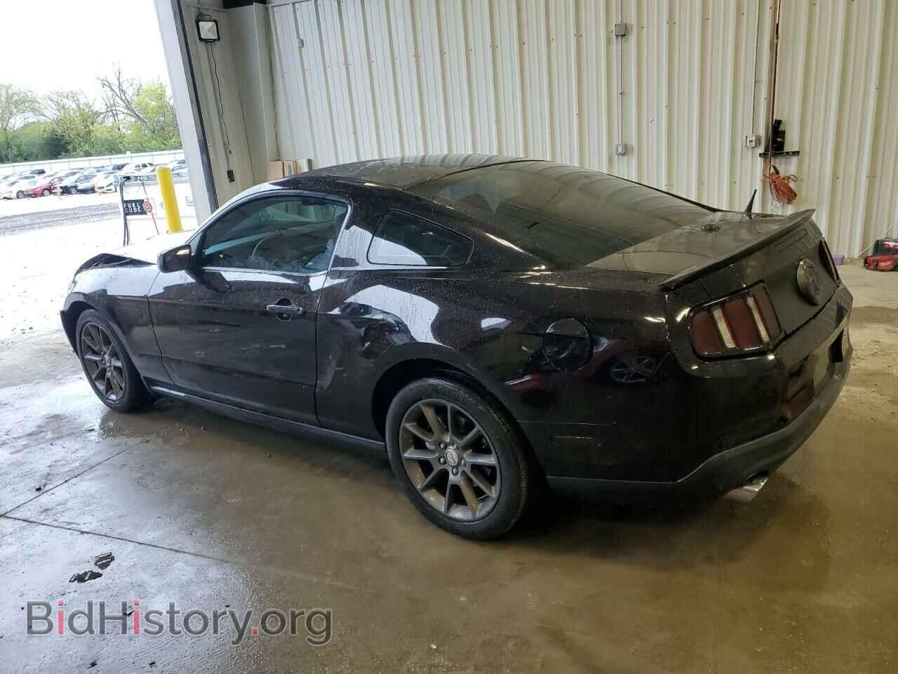 2012 FORD ALL Models - VIN: 1ZVBP8AM2C5218045 - Фото 2