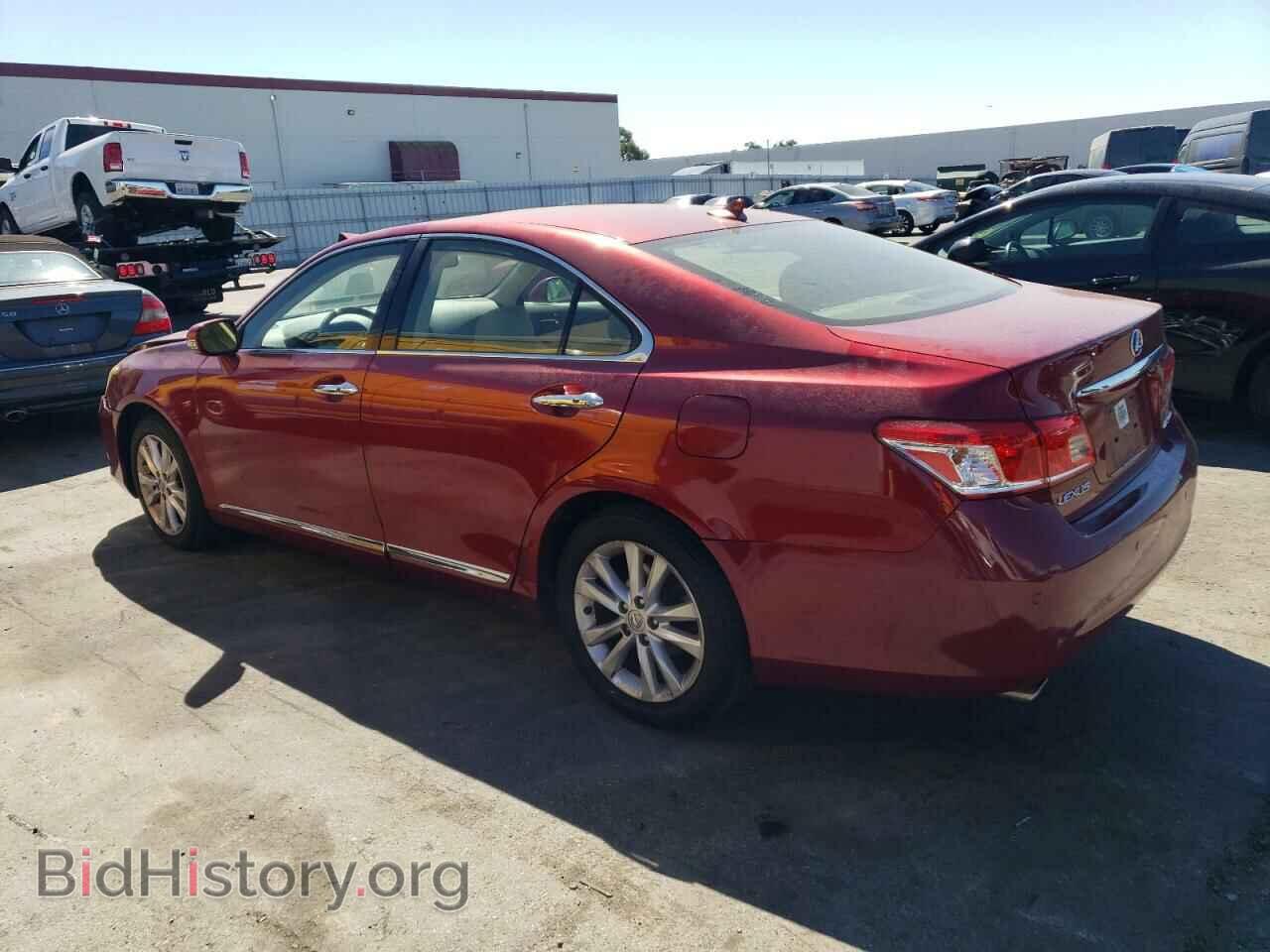 2010 LEXUS ES350 - VIN: JTHBK1EG7A2380456 - Фото 2