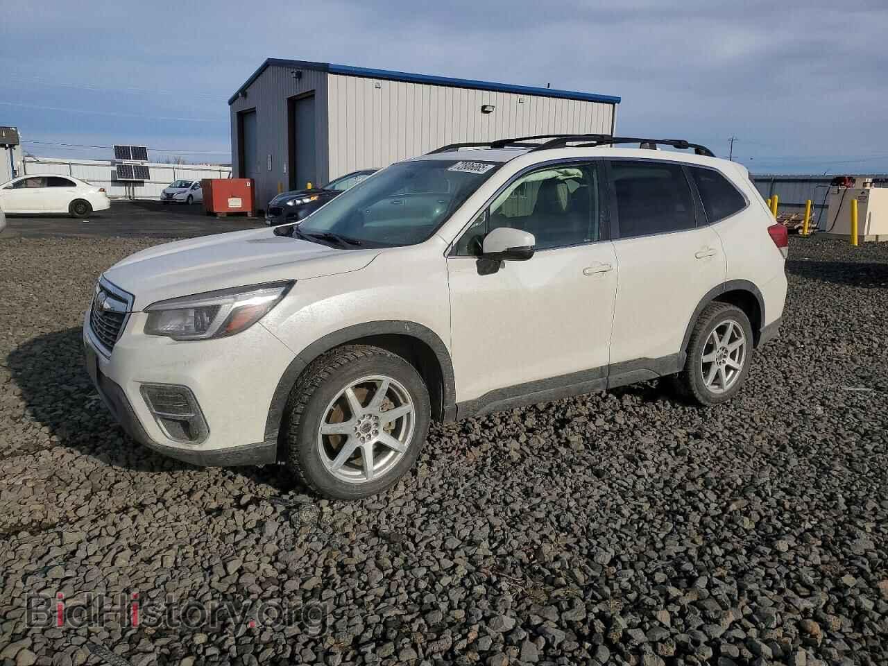 Photo JF2SKASC2KH501090 - SUBARU FORESTER 2019