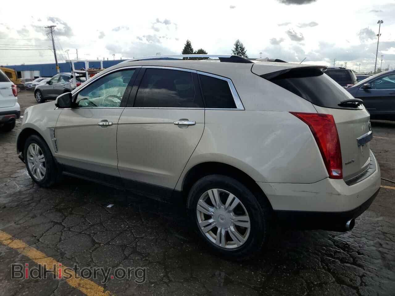2011 CADILLAC SRX - VIN: 3GYFNAEY5BS646866 - Фото 2