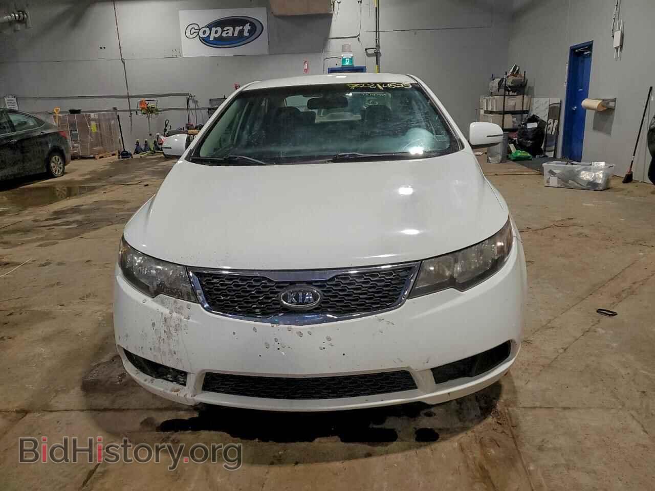 2013 KIA FORTE - VIN: KNAFU4A24D5684949 - Фото 5