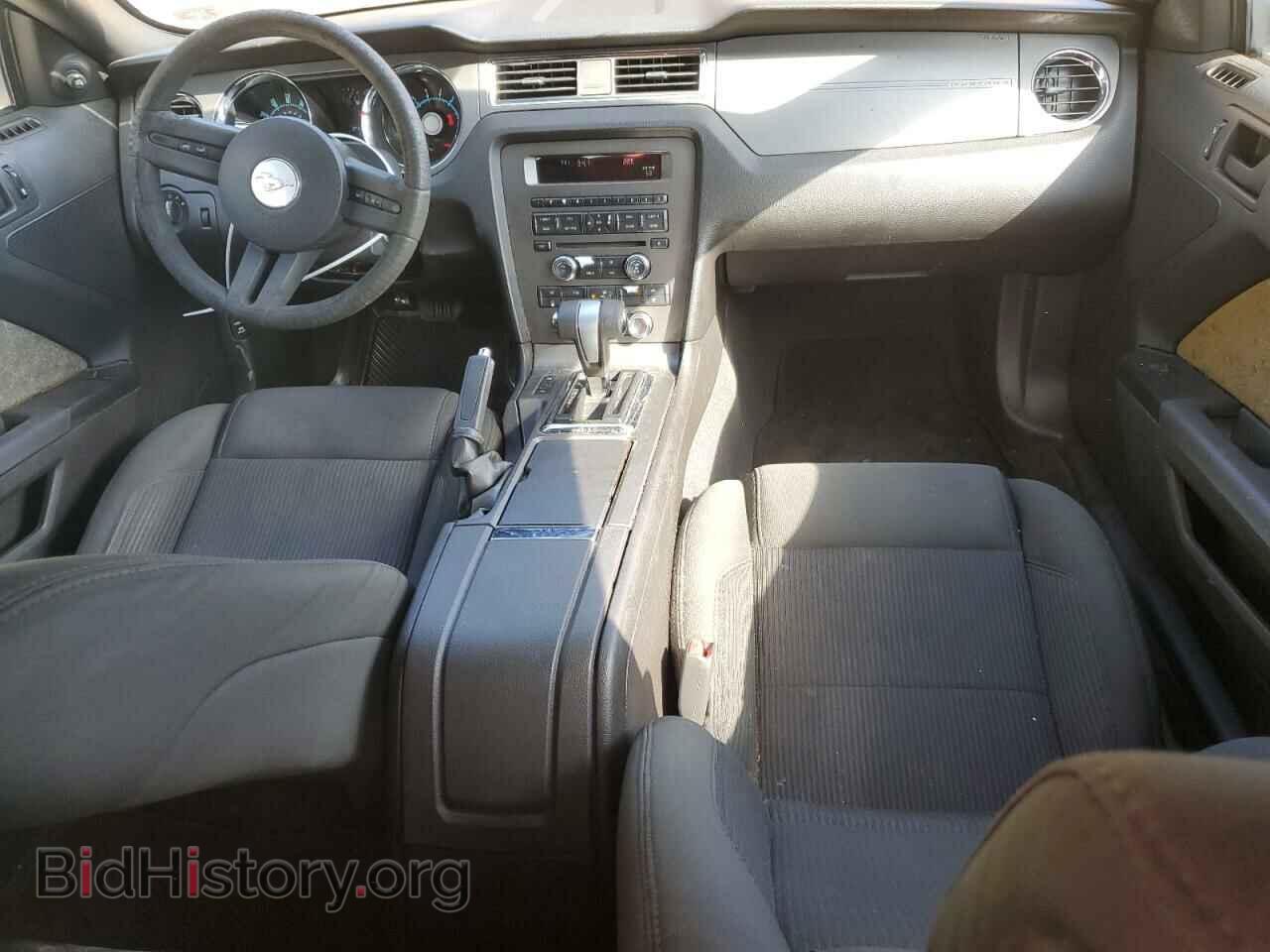 2010 FORD ALL Models - VIN: 1ZVBP8AN9A5112262 - Фото 8