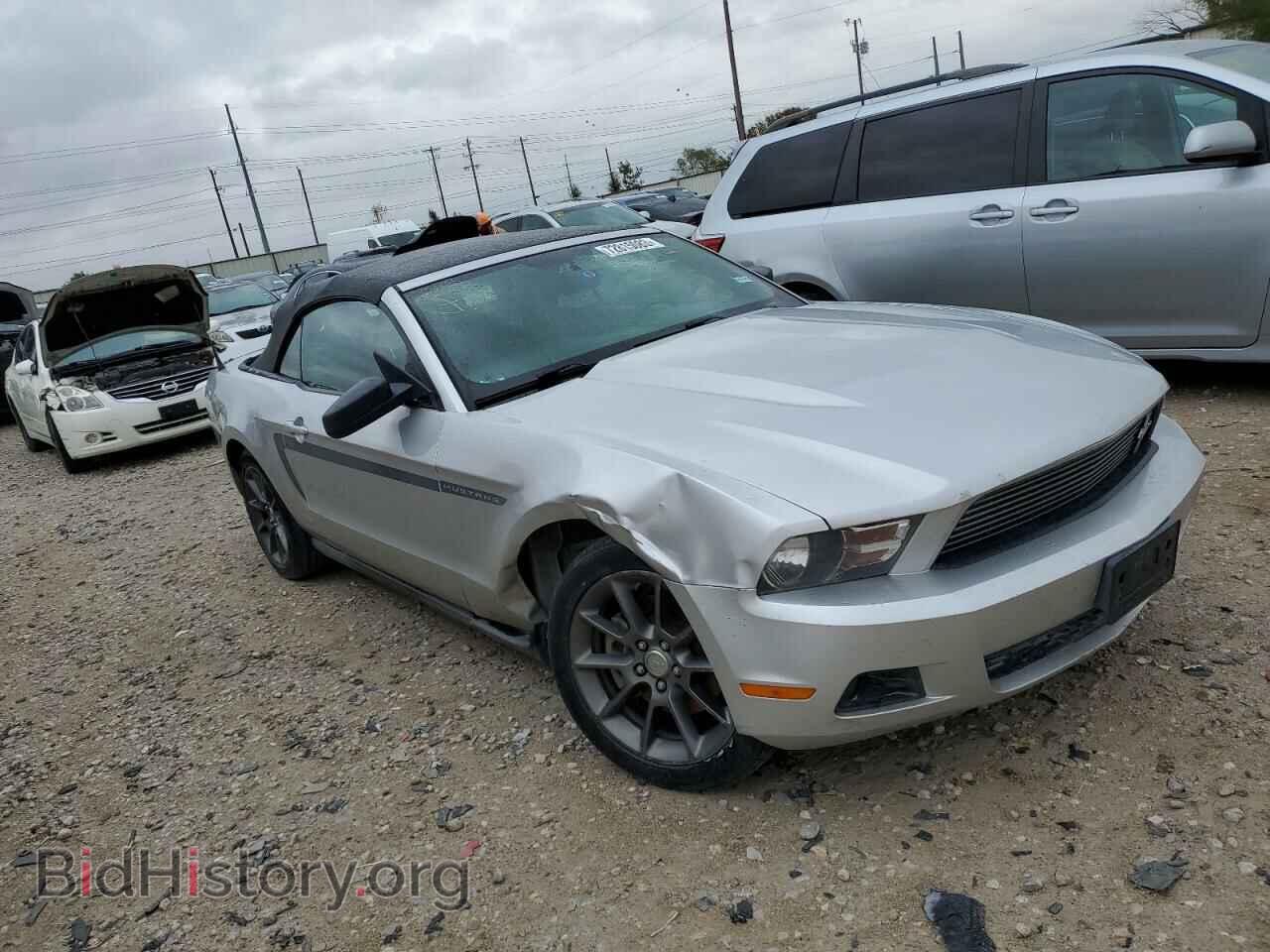 2011 FORD ALL Models - VIN: 1ZVBP8EM0B5134508 - Фото 4