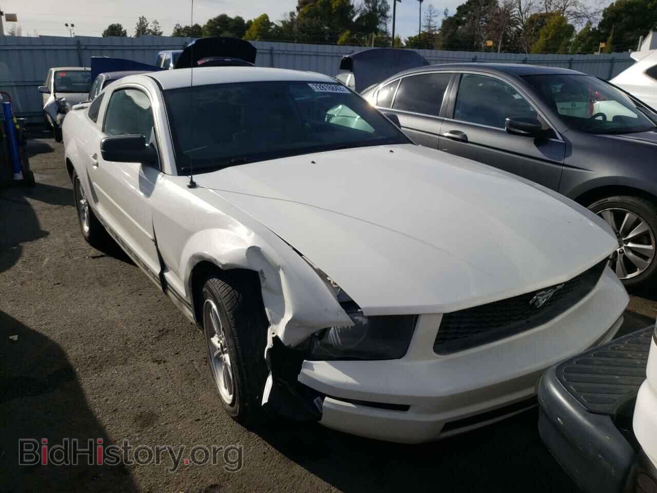 2007 FORD MUSTANG - VIN: 1ZVFT80N175257514 - Фото 5