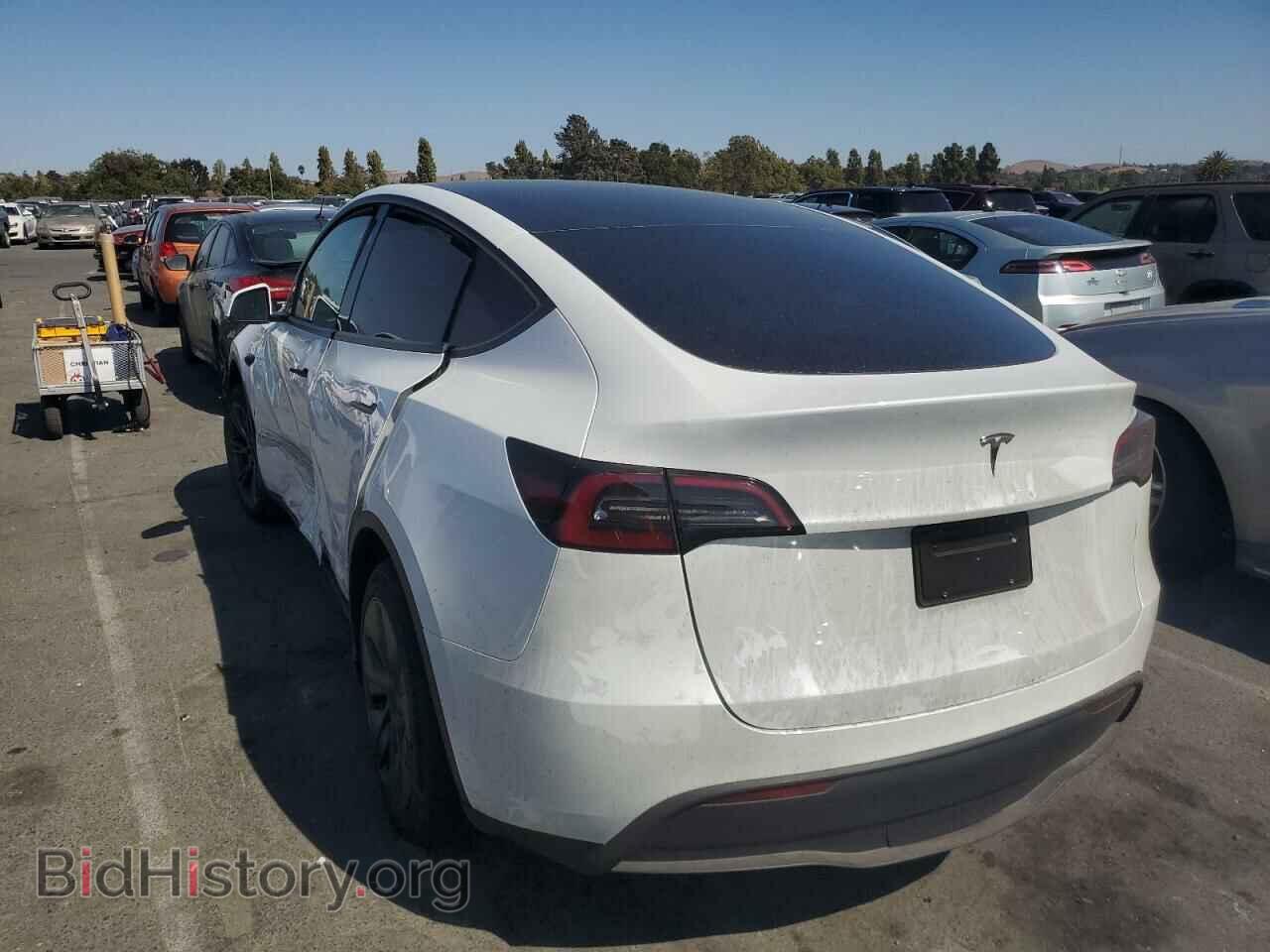 2024 TESLA MODEL Y - VIN: 7SAYGDED5RF184175 - Фото 2