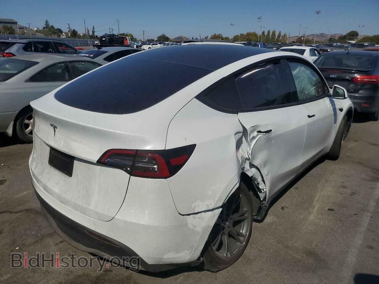 2024 TESLA MODEL Y - VIN: 7SAYGDED5RF184175 - Фото 3