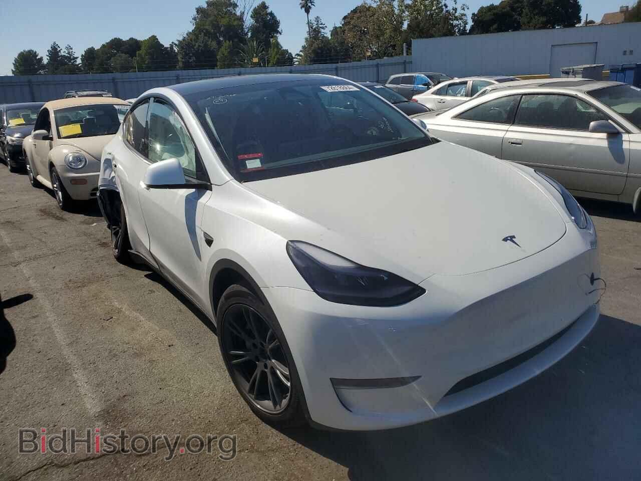 2024 TESLA MODEL Y - VIN: 7SAYGDED5RF184175 - Фото 4