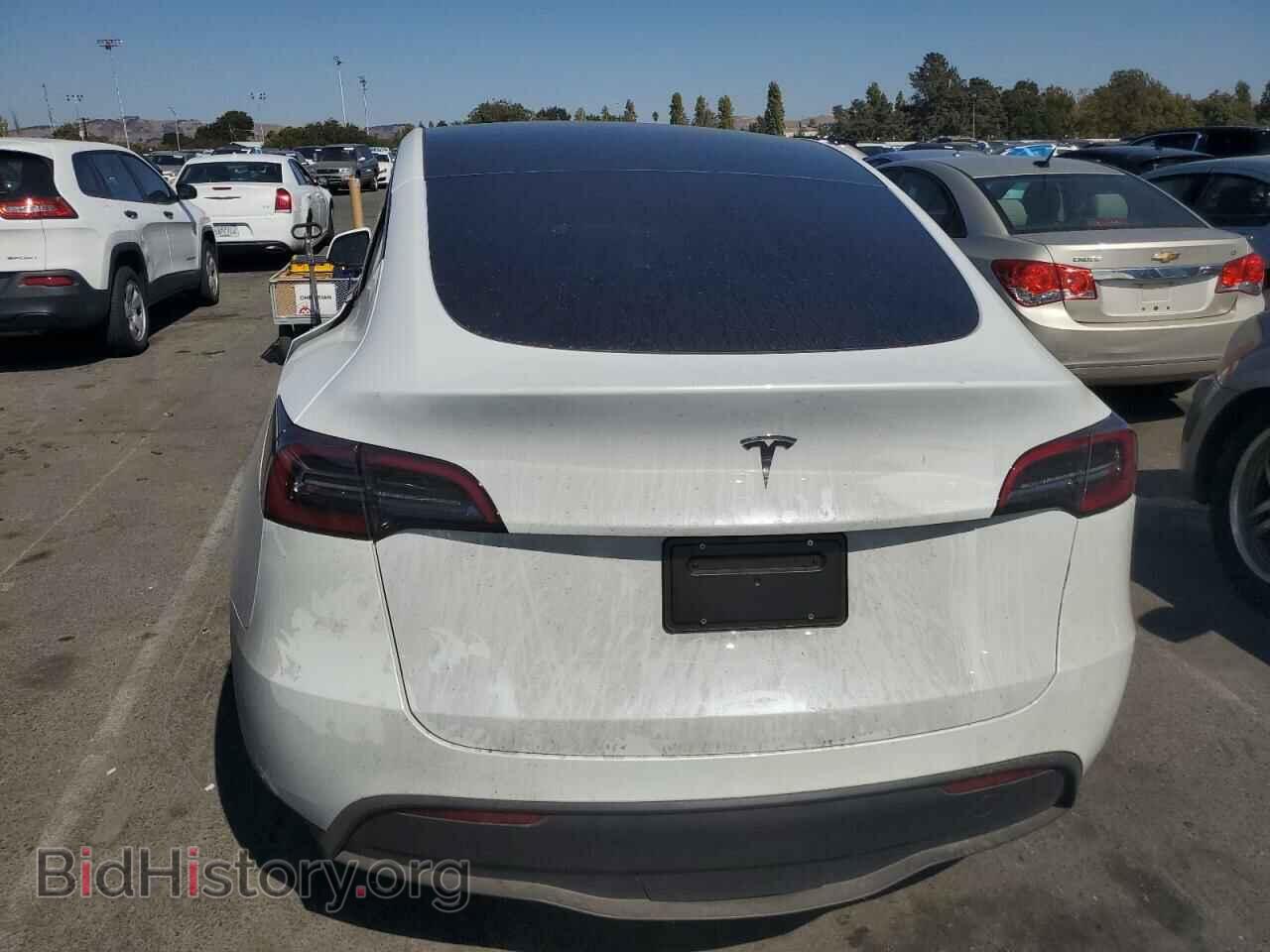 2024 TESLA MODEL Y - VIN: 7SAYGDED5RF184175 - Фото 6