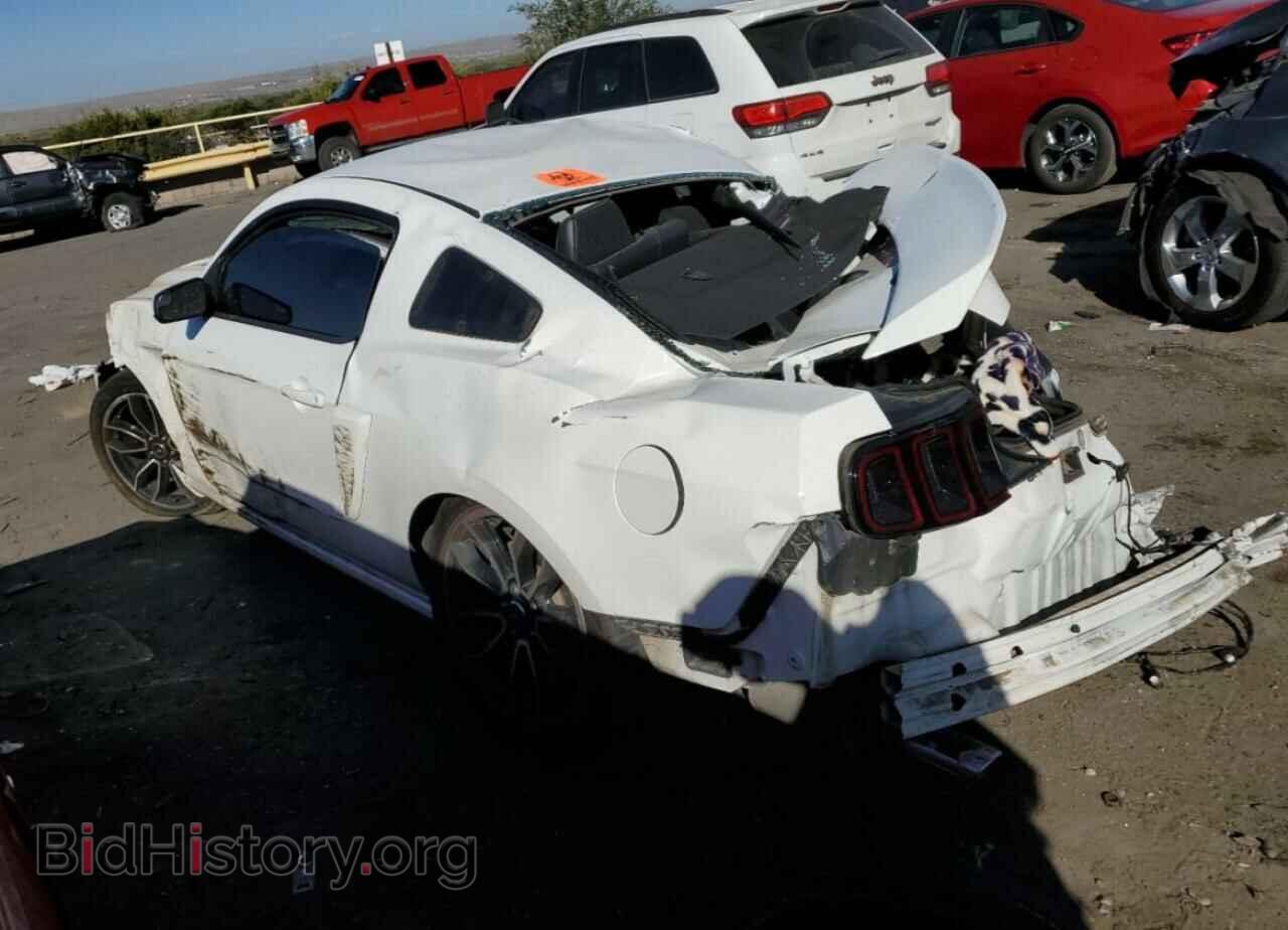 2013 FORD MUSTANG - VIN: 1ZVBP8CF1D5277491 - Фото 2