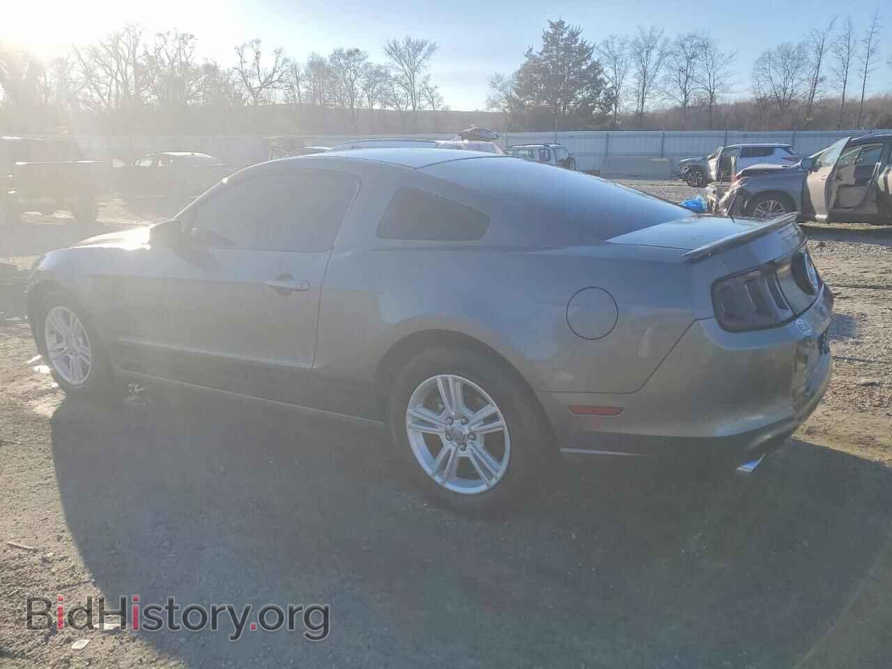 2013 FORD ALL Models - VIN: 1ZVBP8AM5D5249131 - Фото 2