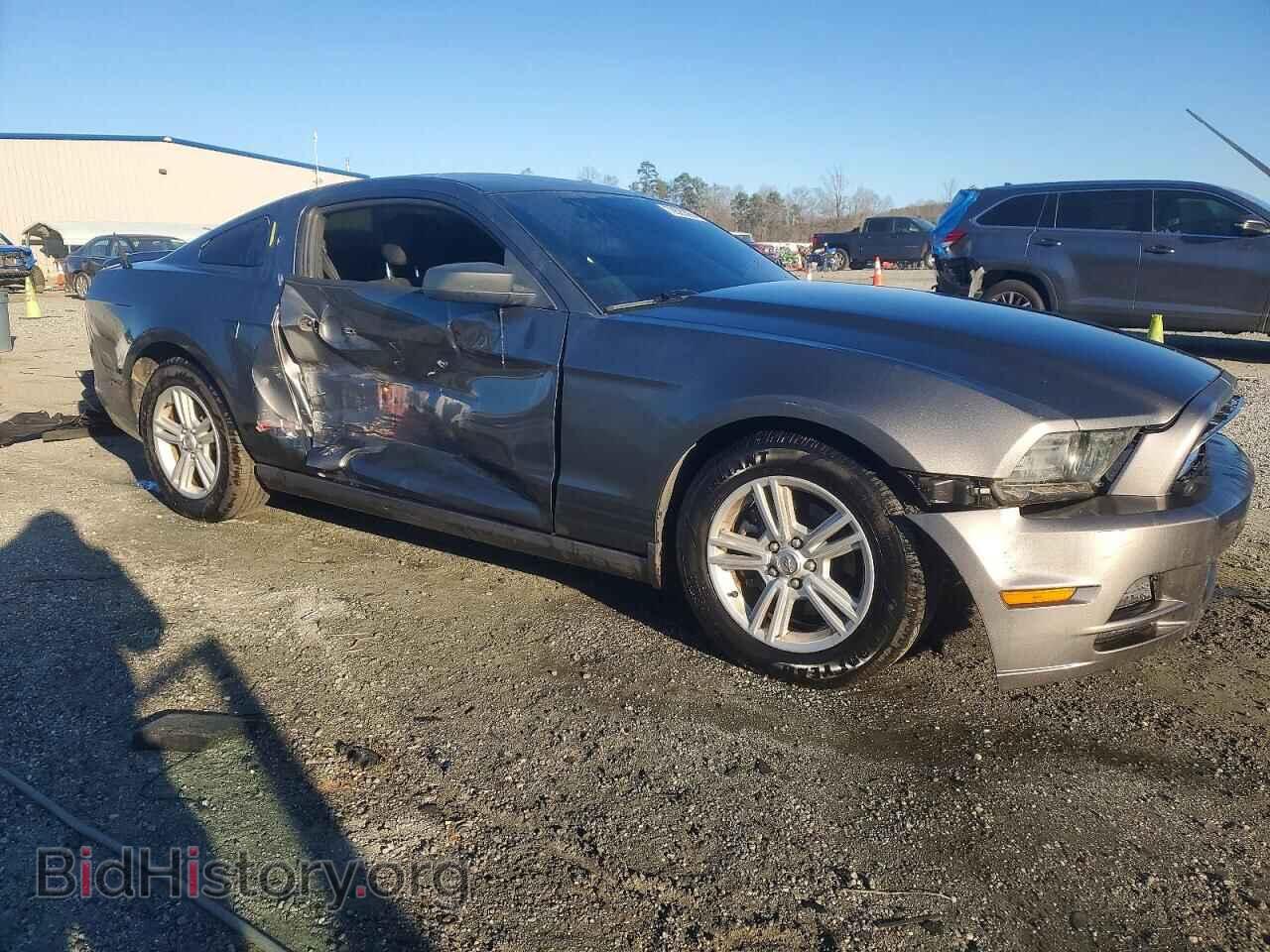2013 FORD ALL Models - VIN: 1ZVBP8AM5D5249131 - Фото 4