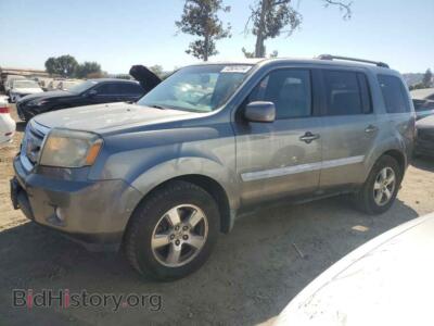 2009 Honda PILOT EXL, серый — VIN 5FNYF38519B017018, Copart