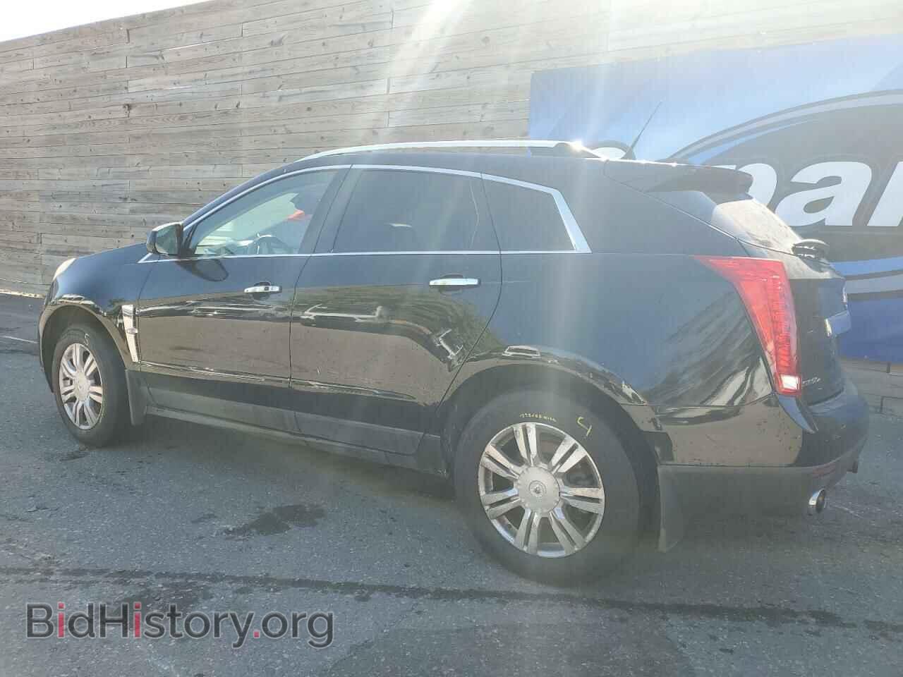 2011 CADILLAC SRX - VIN: 3GYFNDEY3BS646057 - Фото 2
