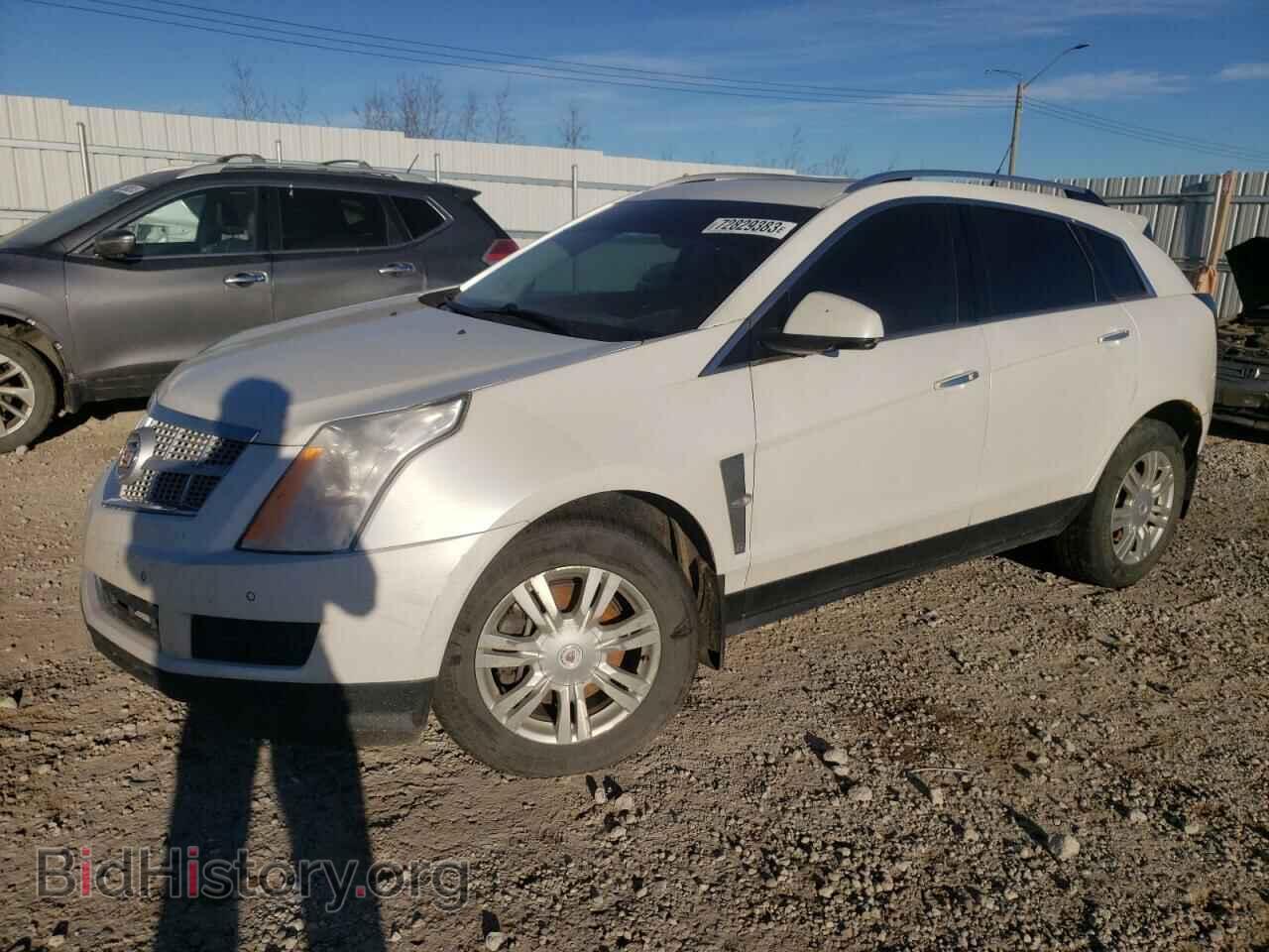 Фотография 3GYFNDE32CS517099 - CADILLAC SRX 2012