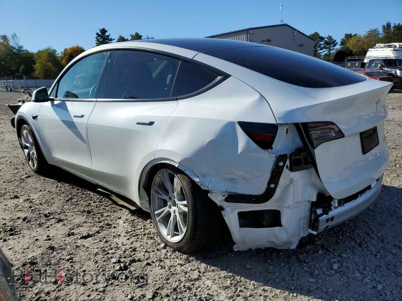 2023 TESLA MODEL Y - VIN: 7SAYGDEE3PF759685 - Фото 2