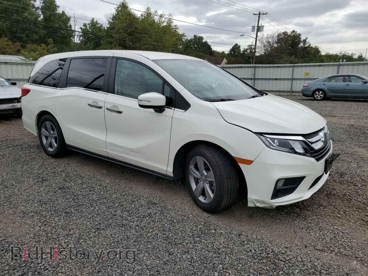 2019 HONDA All Models - VIN: 5FNRL6H50KB091633 - Фото 4