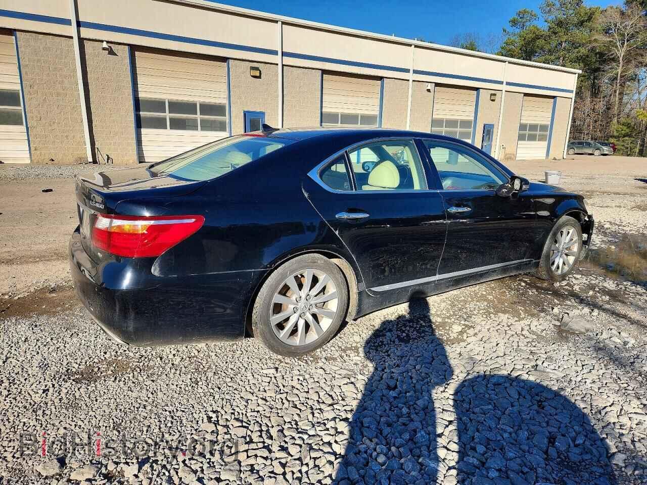 2010 LEXUS LS460 - VIN: JTHCL5EF3A5005906 - Фото 3