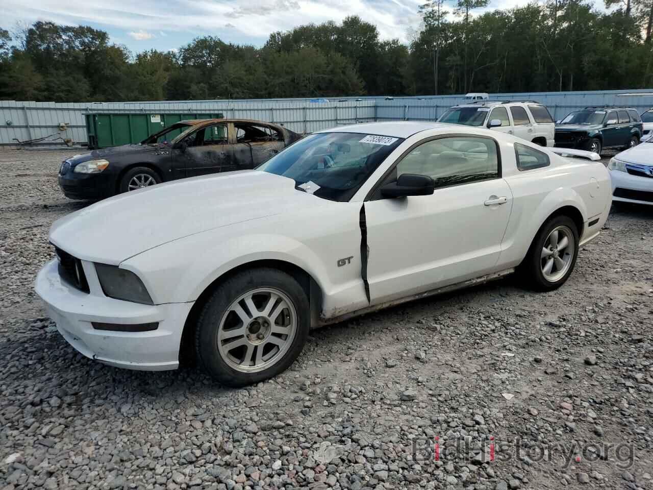 Photo 1ZVFT82H665205057 - FORD MUSTANG 2006